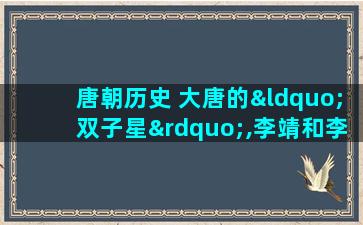 唐朝历史 大唐的“双子星”,李靖和李勣哪个更厉害